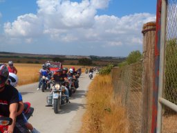 XIX Concentracion - 2012